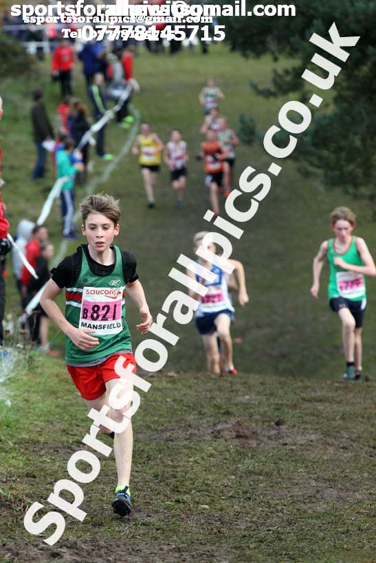 Boys under-13s National Cross Country Relay, Berry Hill Park, Mansfield. Photo:  David T. Hewitson/Sports for All Pics